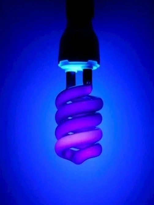 Lâmpada Fluorescente | Luz Negra Neon 40W - 220 Volts