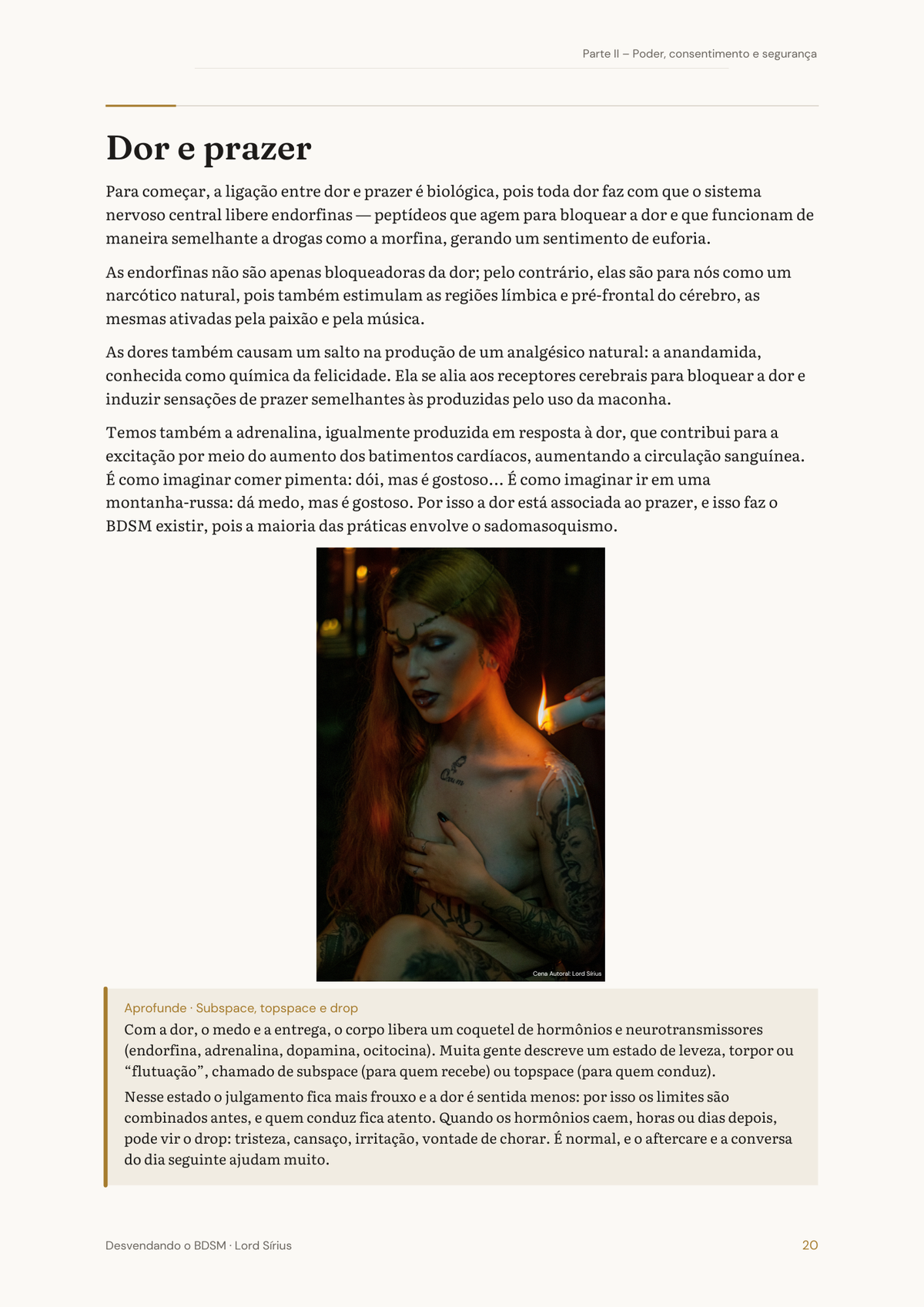 Desvendando o BDSM - 45 Fetiches - 2° Edição Livro Digital - Lord Sírius