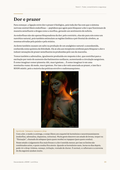 Desvendando o BDSM - 45 Fetiches - 2° Edição Livro Digital - Lord Sírius